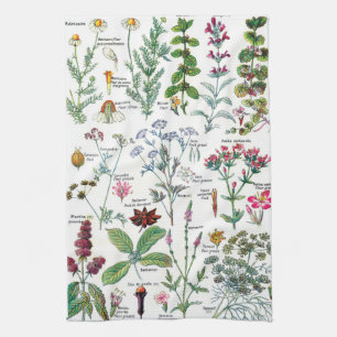 Botanische Illustrationen Geschirrtuch