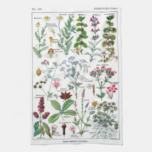 Botanische Illustrationen Geschirrtuch
