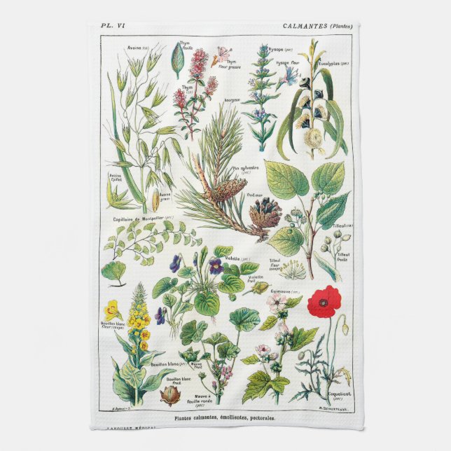 Botanische Illustrationen Handtuch (Vertikal)