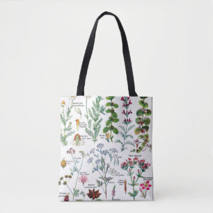 Botanische Illustrationen - Larousse Pflanzen