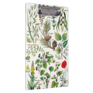 Botanische Illustrationen - Larousse Pflanzen Klemmbrett