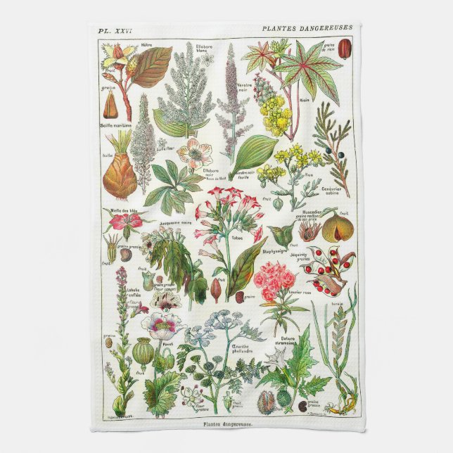 Botanische Illustrationen - Larousse Pflanzen Küchentuch (Vertikal)