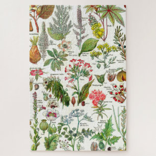 Botanische Illustrationen Puzzle