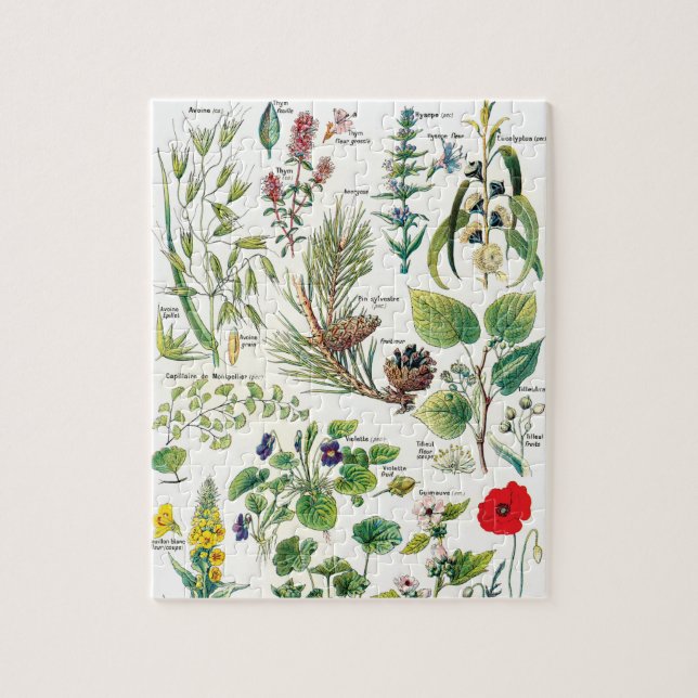 Botanische Illustrationen Puzzle (Vertikal)