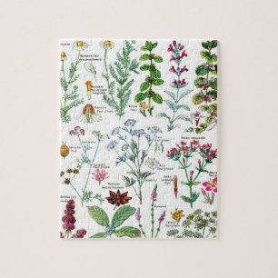 Botanische Illustrationen Puzzle