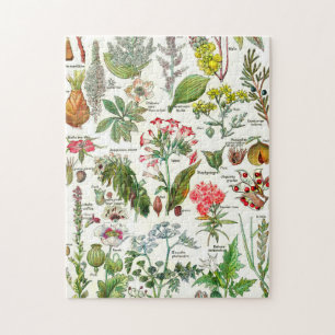 Botanische Illustrationen Puzzle