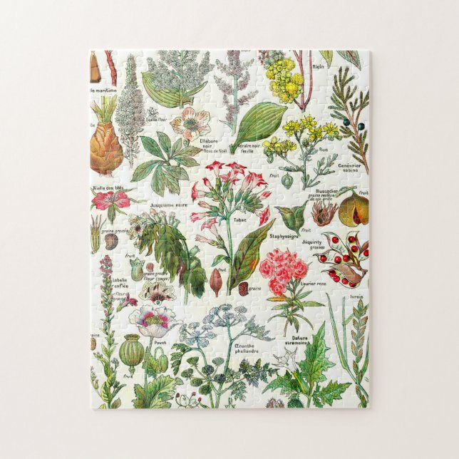 Botanische Illustrationen Puzzle (Vertikal)