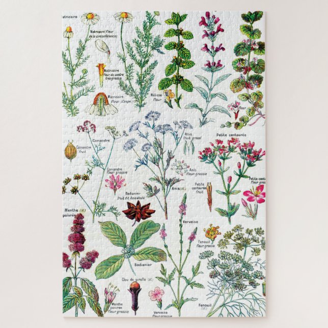 Botanische Illustrationen Puzzle (Vertikal)