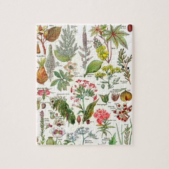Botanische Illustrationen Puzzle (Vertikal)