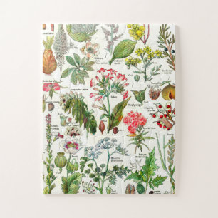 Botanische Illustrationen Puzzle