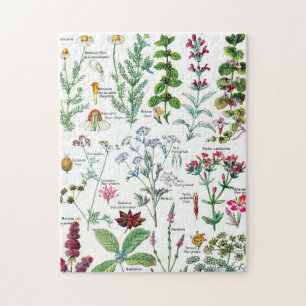 Botanische Illustrationen Puzzle