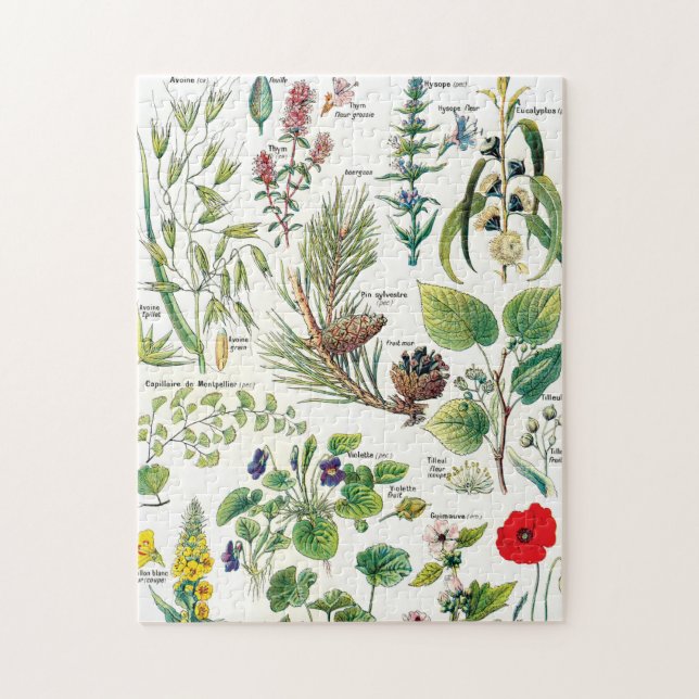 Botanische Illustrationen Puzzle (Vertikal)