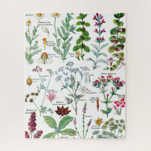 Botanische Illustrationen Puzzle