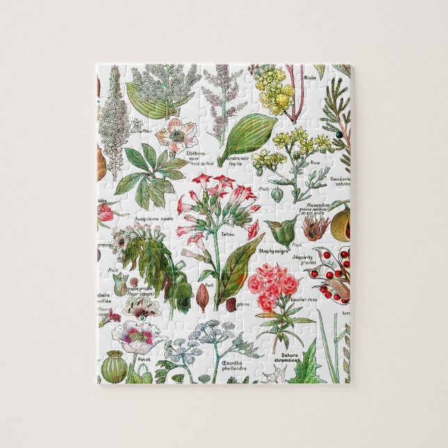 Botanische Illustrationen Puzzle (Vertikal)