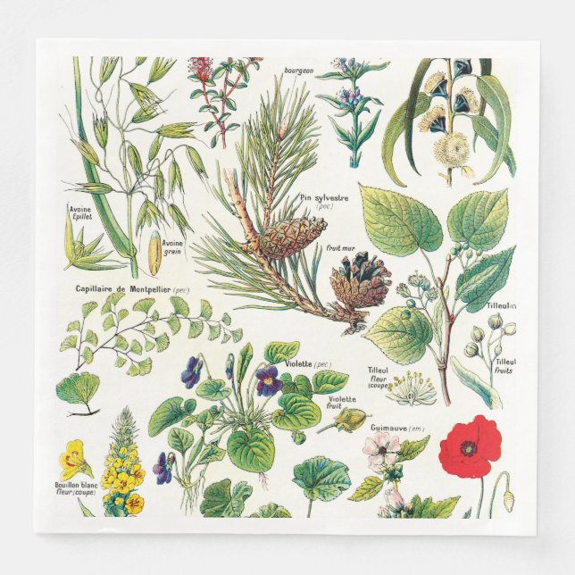 Botanische Illustrationen Serviette (Vorderseite)