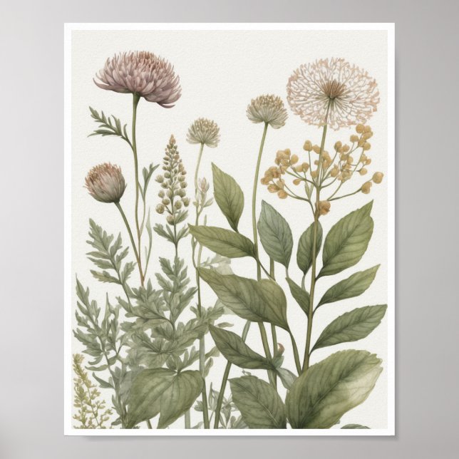 botanische Illustrationen verkomplizierte Muster Poster (Vorne)