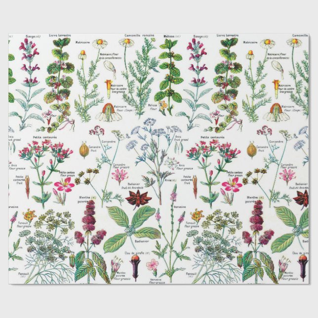 Botanische Illustrations Geschenkpapier (Flach)