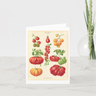 Botanische Illustrationskarte Tomate Dankeskarte