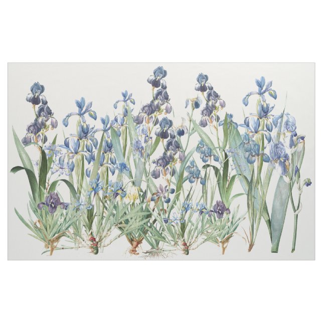 Botanische Iris-Blumen BlumenRedoute Gewebe Stoff (Yard (91,4 cm))