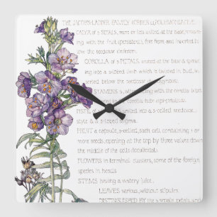 Botanische Jacobs Leiter-Familien-Blumen-Wand-Uhr Quadratische Wanduhr