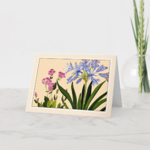 Botanische Karte Agaranthus & Catchfly