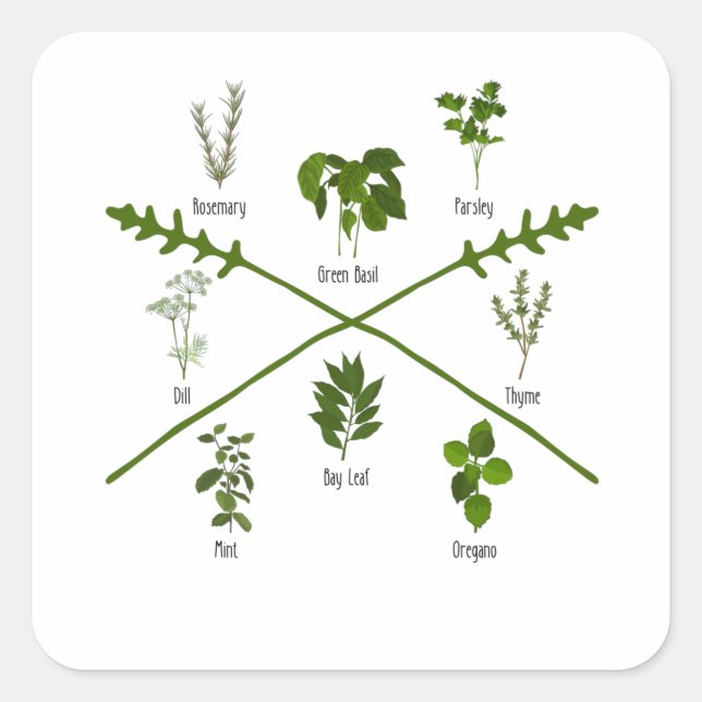 Botanische Kräuter Kräutergarten Geburtstag Quadratischer Aufkleber (Vorderseite)
