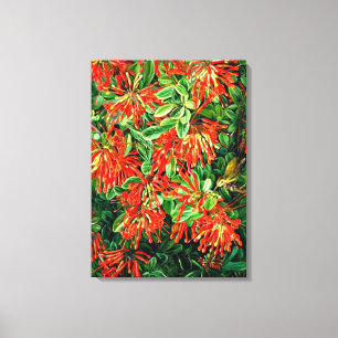 Botanische Kunst: Bush und Emu Wren des Chilen bre Leinwanddruck