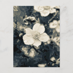 Botanische Kunst der launischen Anemonenblüte Postkarte
