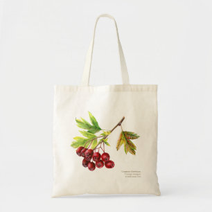 Botanische Kunst des Hawthorn, Aquarellmalerei Tragetasche