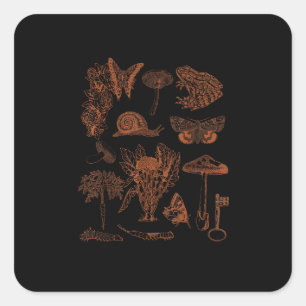 Botanische Kunst, Frosch-Pilze-Goblincore-Ästhetik Quadratischer Aufkleber