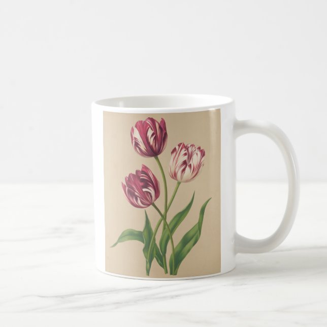 Botanische Kunst Kaffeetasse (Rechts)