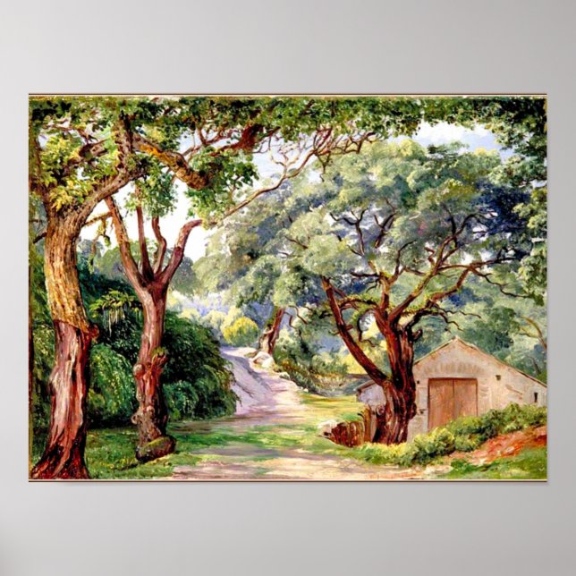 Botanische Kunst: Korkbäume in Cintra bei Lissabon Poster (Vorne)