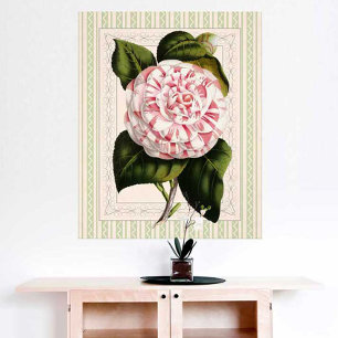 Botanische Kunst Vintage-Kamelie auffälliges Desig Poster