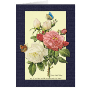 Botanische Kunstkarte Weiß und Rote Rosen
