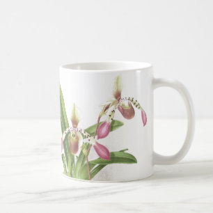 Botanische Ladys Pantoffel-Orchideen-Blumen mit Tasse