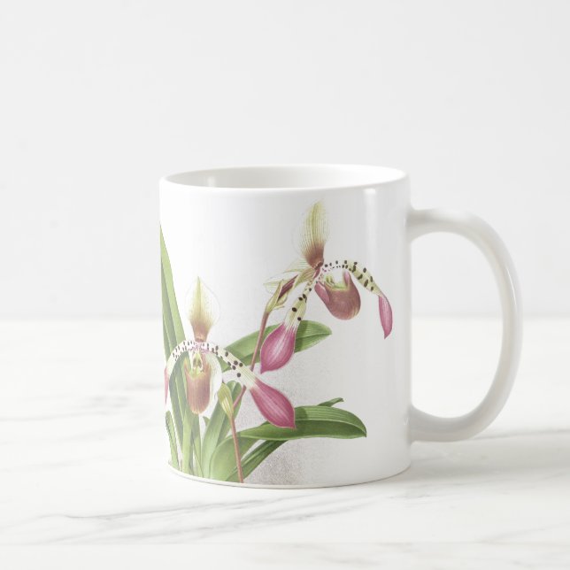 Botanische Ladys Pantoffel-Orchideen-Blumen mit Tasse (Rechts)