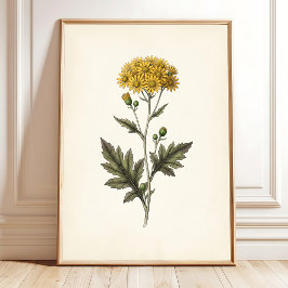 Botanische Ligularia Cottagecore-Wandkunst Poster