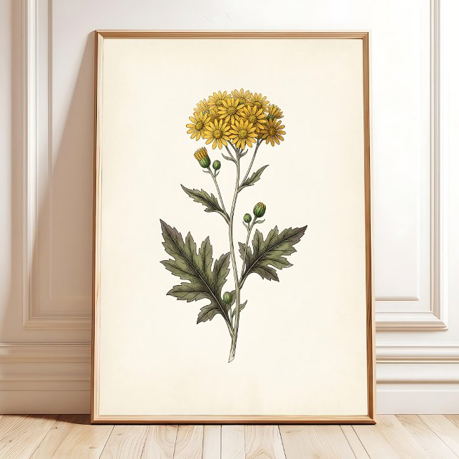 Botanische Ligularia Cottagecore-Wandkunst Poster (Von Creator hochgeladen)