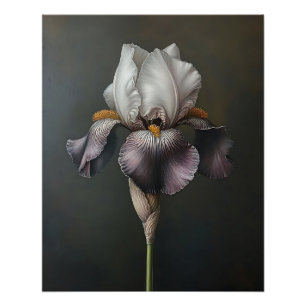 Botanische Malerei mit lila und weißer Irisfarbe Poster