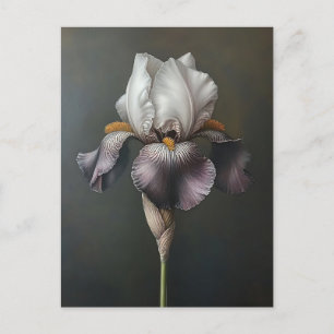 Botanische Malerei mit lila und weißer Irisfarbe Postkarte