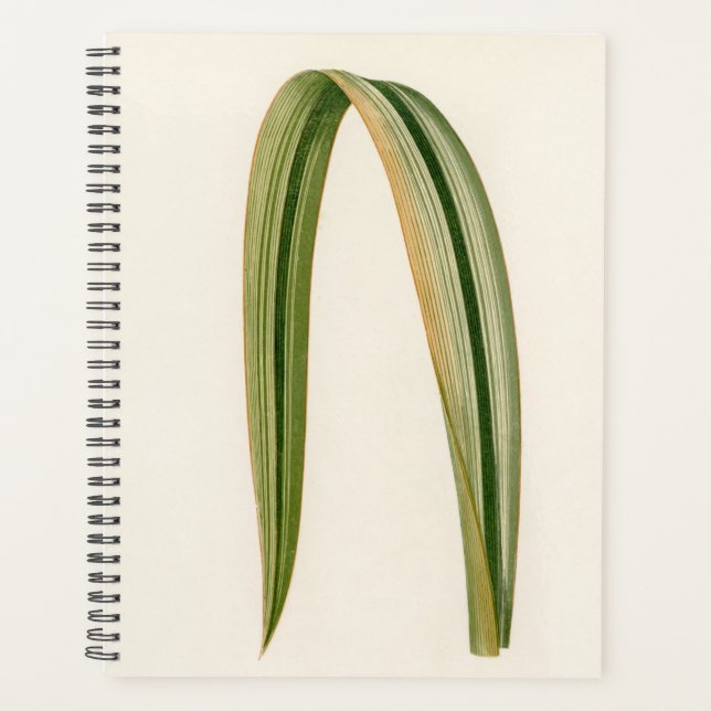 Botanische Mama Vater Planer (Vorderseite)