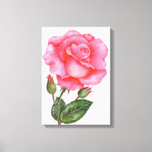 Botanische Mauer Rosa Blume Leinwanddruck