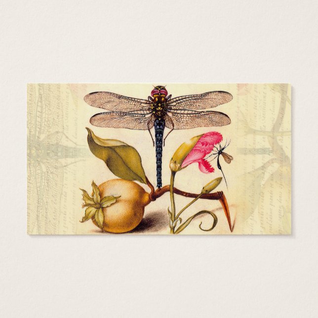 Botanische Natur der Libelle (Rückseite)