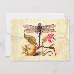 Botanische Natur der Libelle Einladung