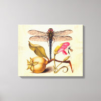 Botanische Natur der Libelle