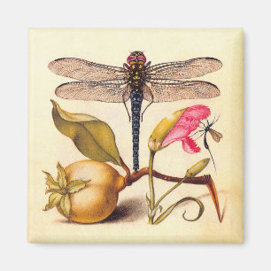 Botanische Natur der Libelle Magnet