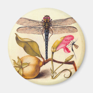 Botanische Natur der Libelle Magnet