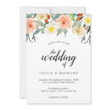 Botanische Pfirsichfarben Rose Blumenzehen