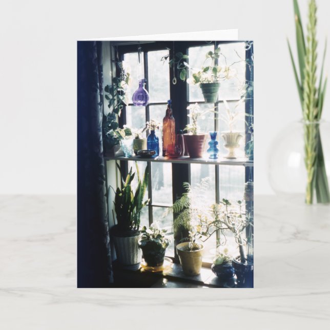 Botanische Pflanze in farbenfrohen Glasflaschen Karte (Vorderseite)