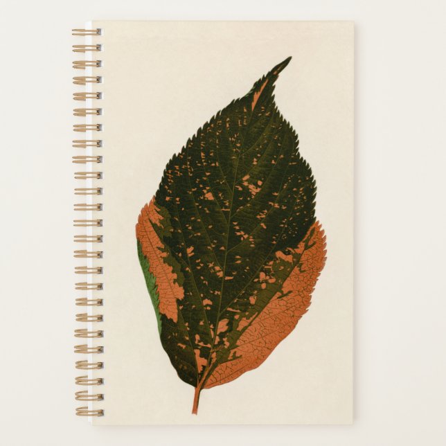 Botanische Pflanze Mama Vater Organisator Planer (Vorderseite)